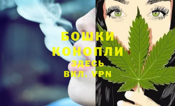 твердый Верхний Тагил