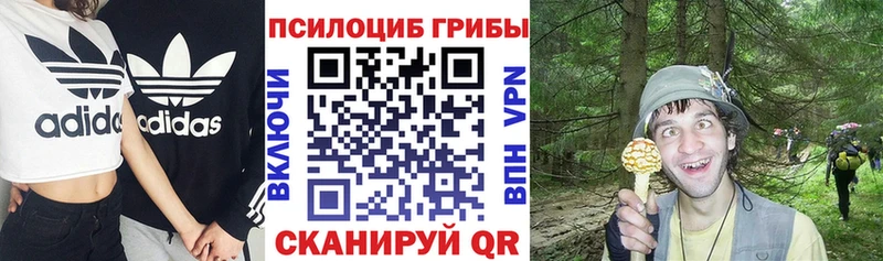сколько стоит  OMG ссылка  Псилоцибиновые грибы прущие грибы  Владикавказ 